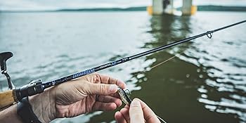 Dobyns Rods