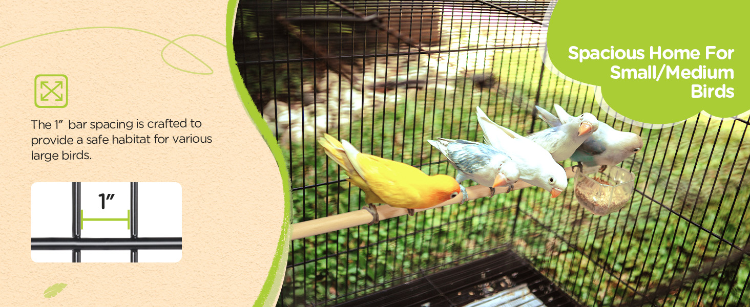 bird cage