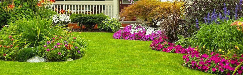sprayer, lawn, backpack sprayers, solo