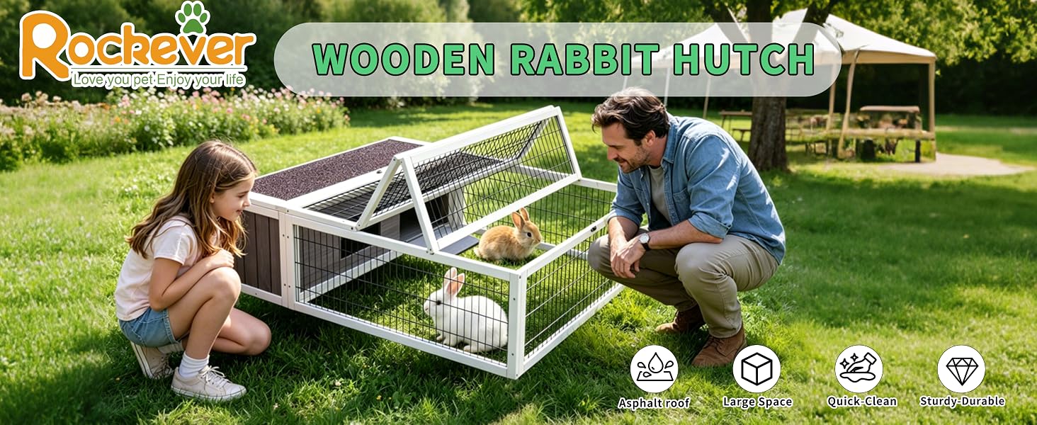 rabbit cage