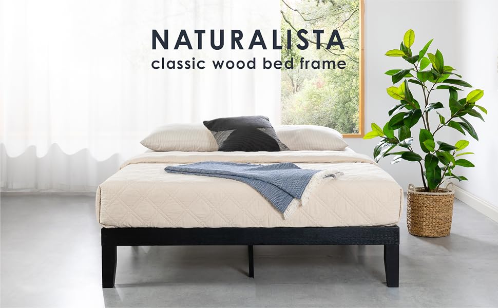 Naturalista - bk