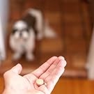 dmannose powder uti d mannose for dogs natural remedies for uti bladder infection treatment