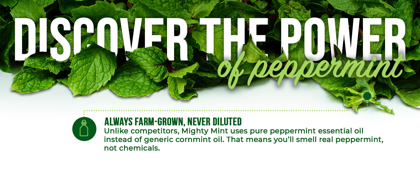 Discover the power of peppermint