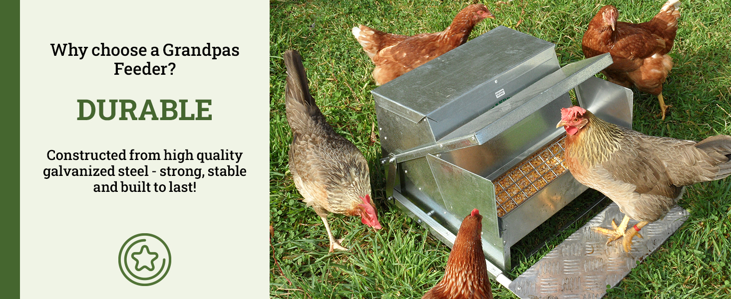 grandpas feeders automatic chicken galvanized steel poultry feeders rat proof no spill weatherproof