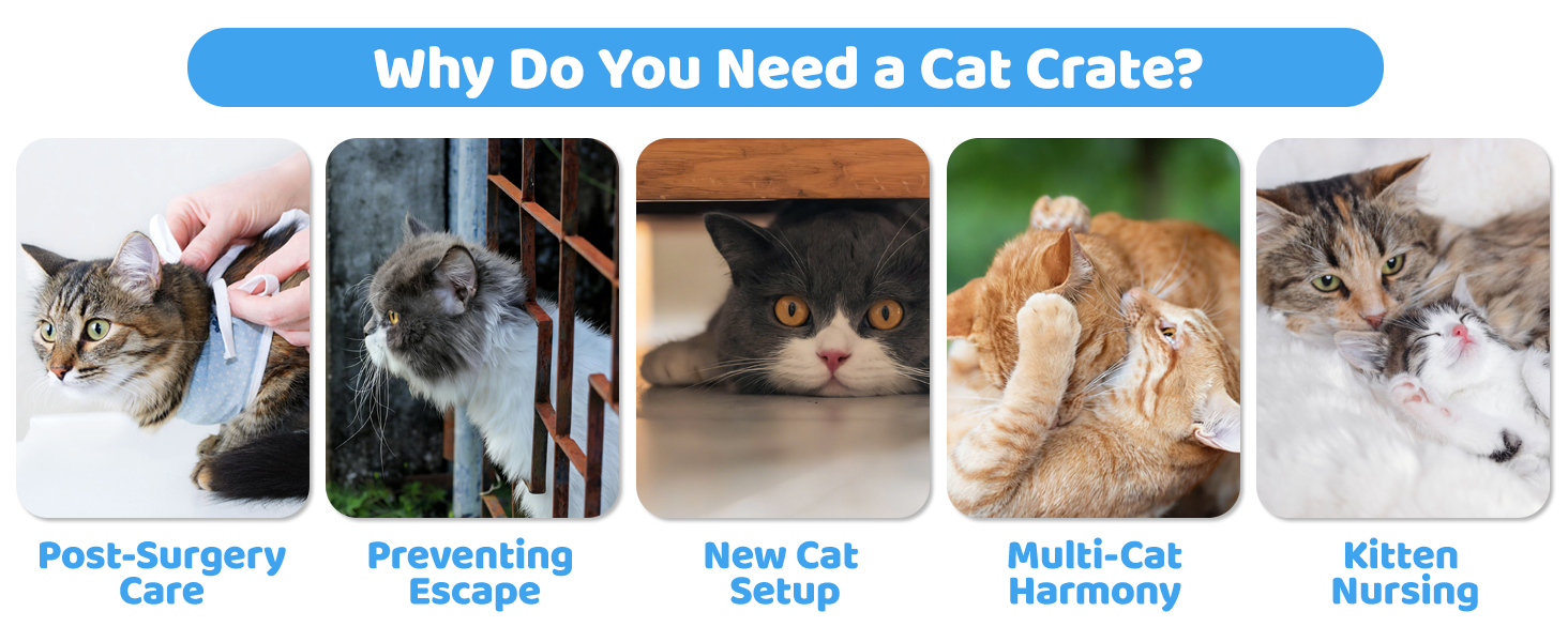 cat cages indoor