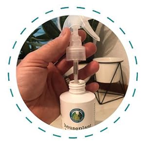 leaf cleaner for house plants