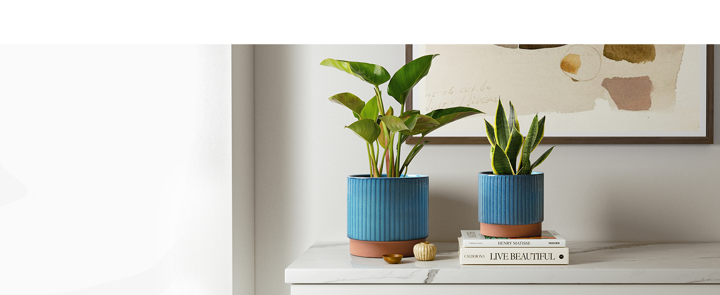 large planters Pots