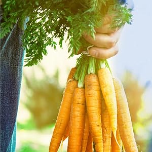 Birds Eye Frozen Vegetables are sourced from local farmers and served with high quality