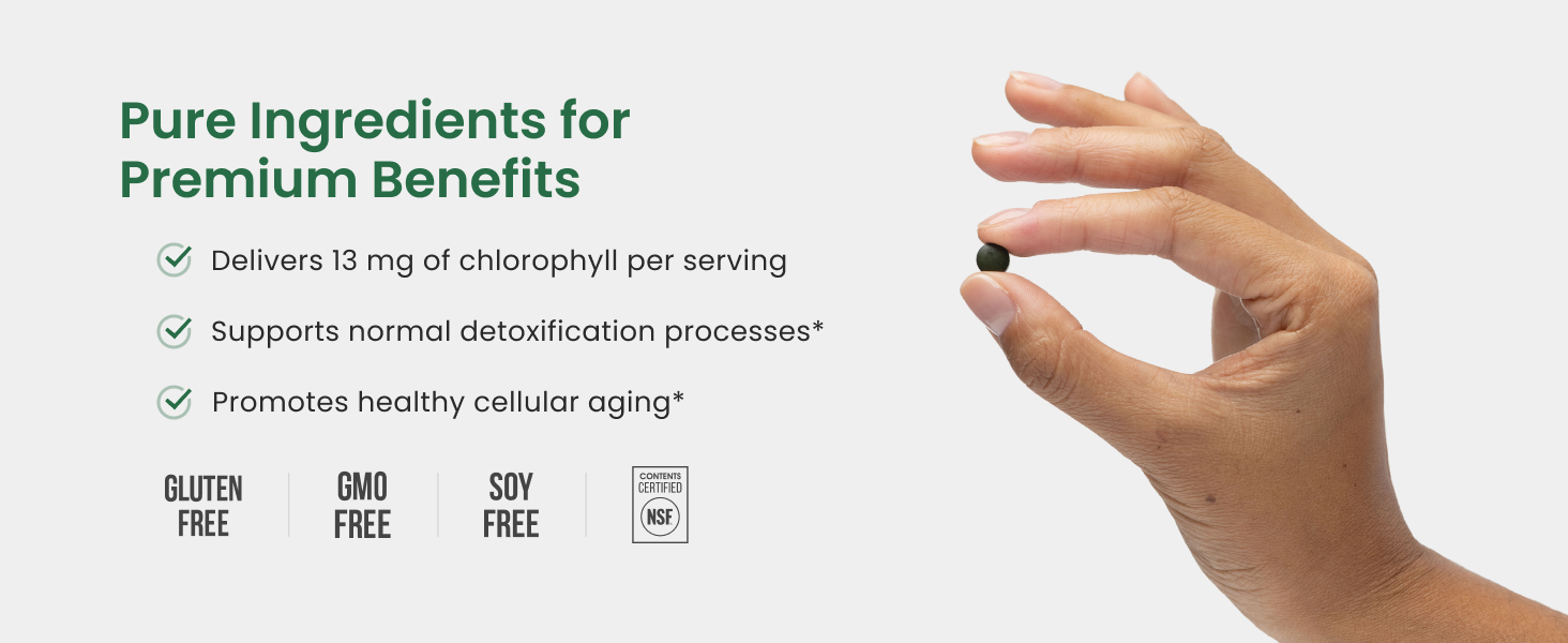 Pure Ingredients for Premium Benefits