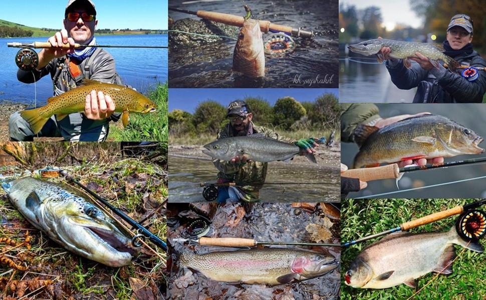 fishing lines