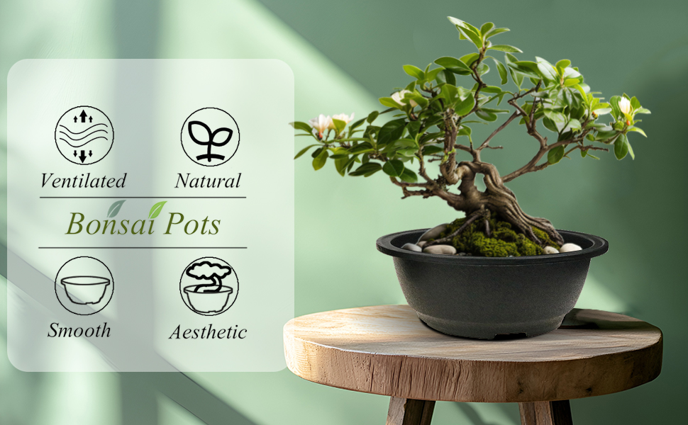 FP062 8 inch MUZHI Plastic Bonsai Planter