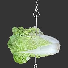 Hang the veggies for chicken