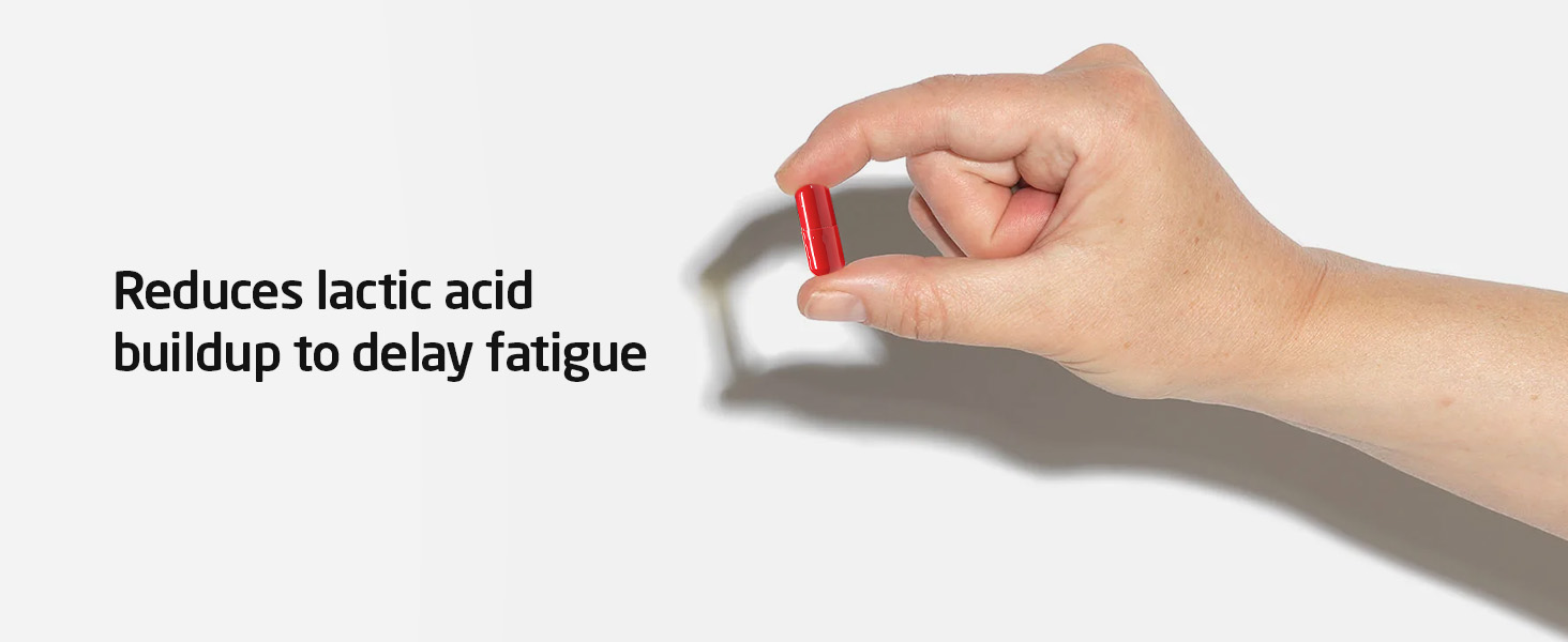 Reduces lactic acid buildup to delay fatigue