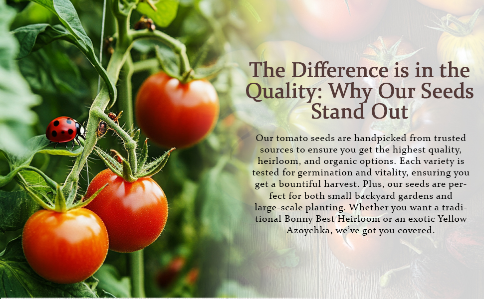 The difference is in the Quality: Why our seeds stand out