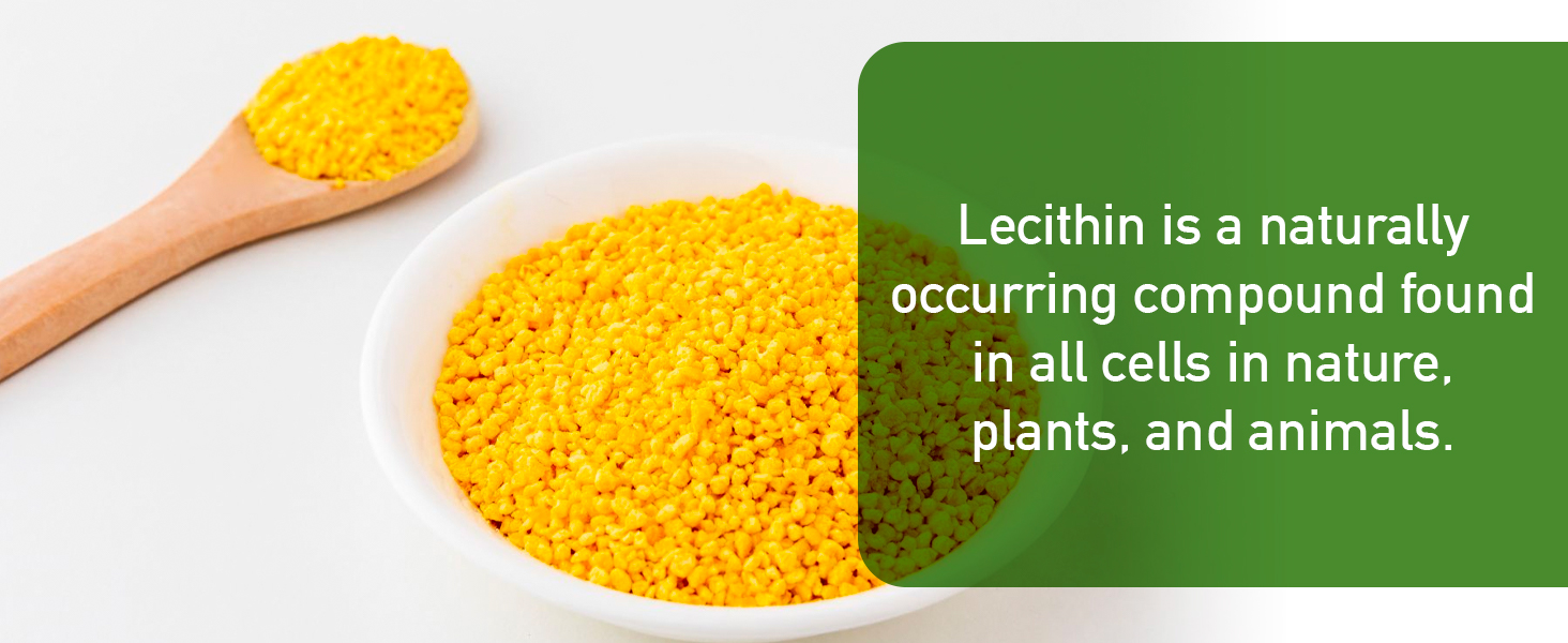 Naturalslim Leciclean Pure Soy Lecithin Powder Granules w/ Choline Food Grade &amp; Dissolves Easily