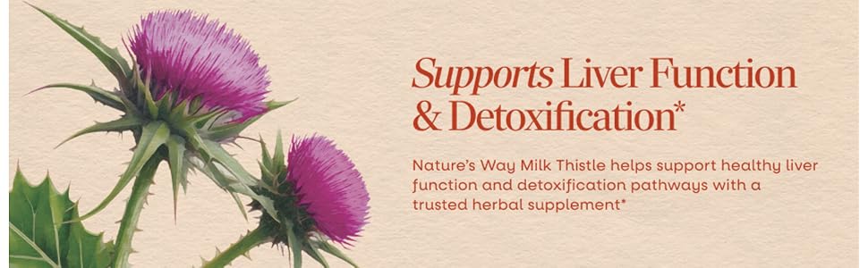 Illustration of Milk Thistle plant next to text