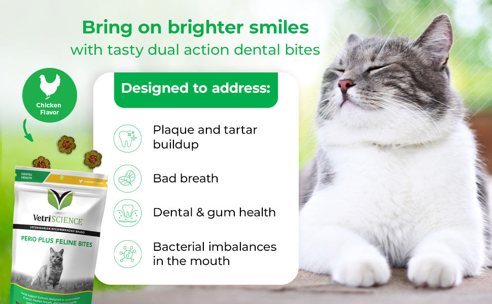 Cat teeth cleaning chews for easy cat dental care