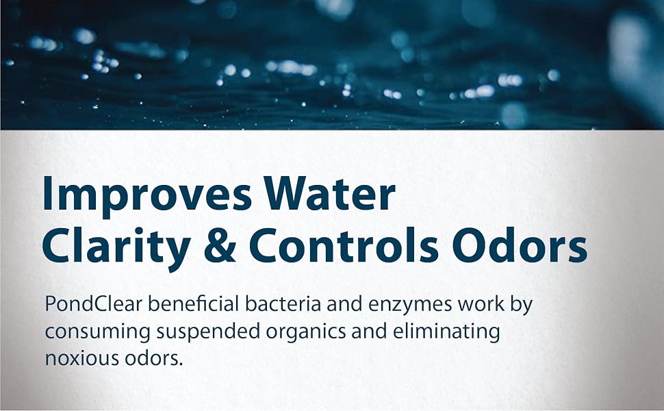 PondClear Header Introduction