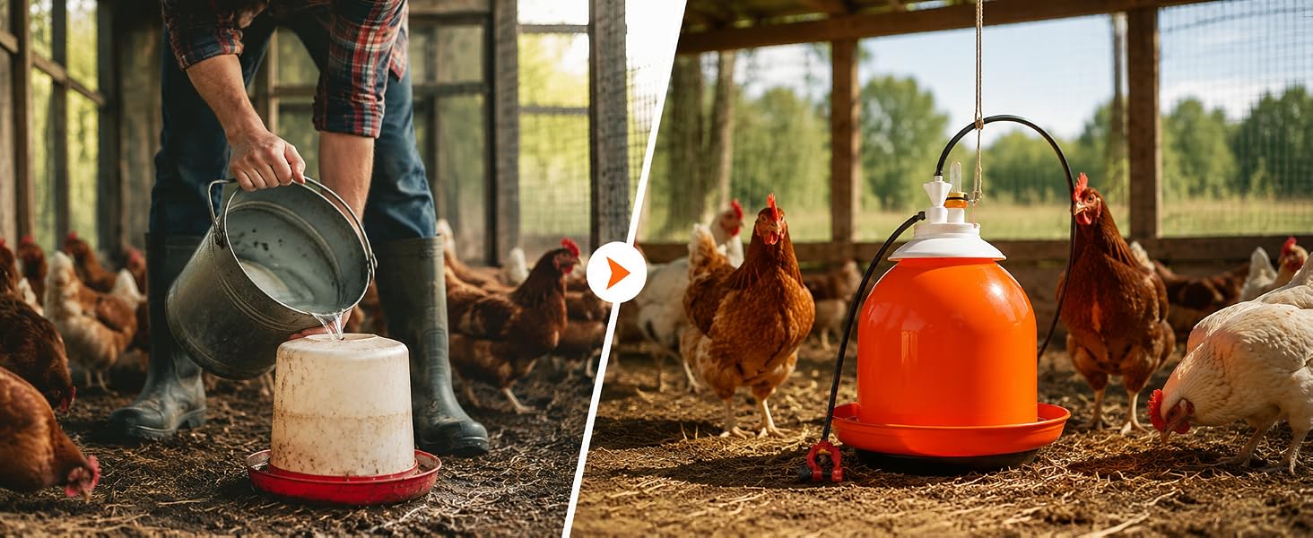 comparison image showing a farmer filling up a traditional poultry waterer versus the bell matic