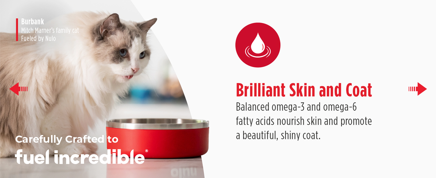 Image of cat with text reading brilliant skin and coat.