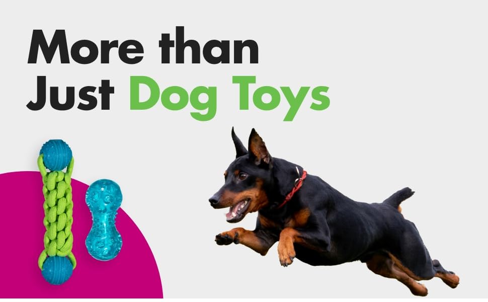 more then just dog toys