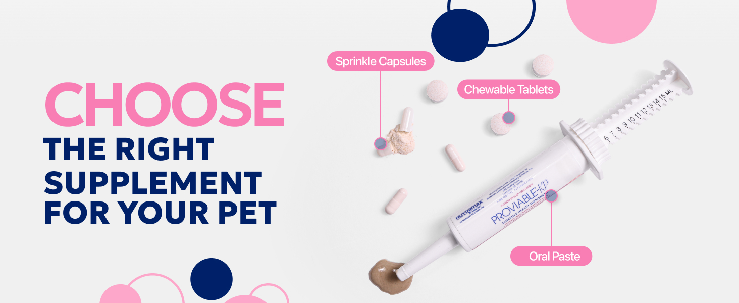 Proviable Digestive Health Support
