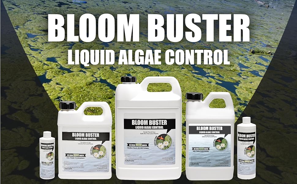 Bloom Buster
