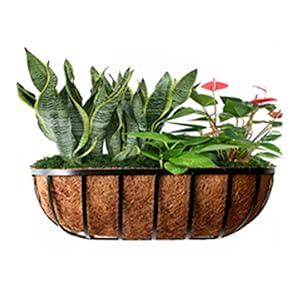 coco liners for planters