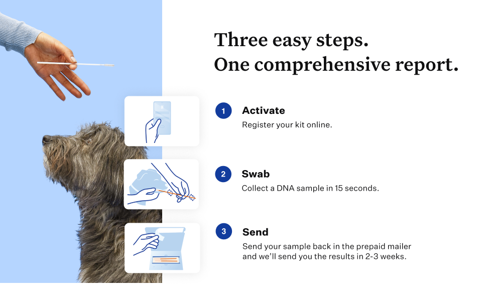 Three east steps. One comprehensive report. Activate. Swab. Send. Results ready in 2-3 weeks.