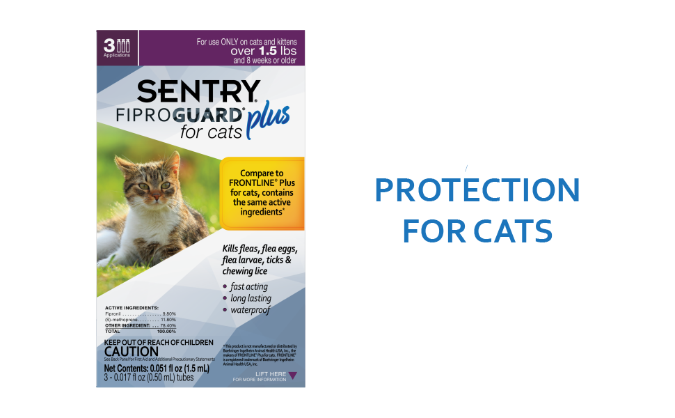 fiproguard for cats