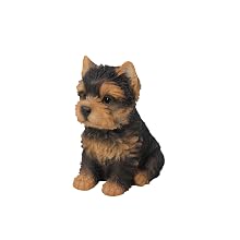 Yorkshire Terrier Puppy_2