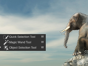 Object Selection tool