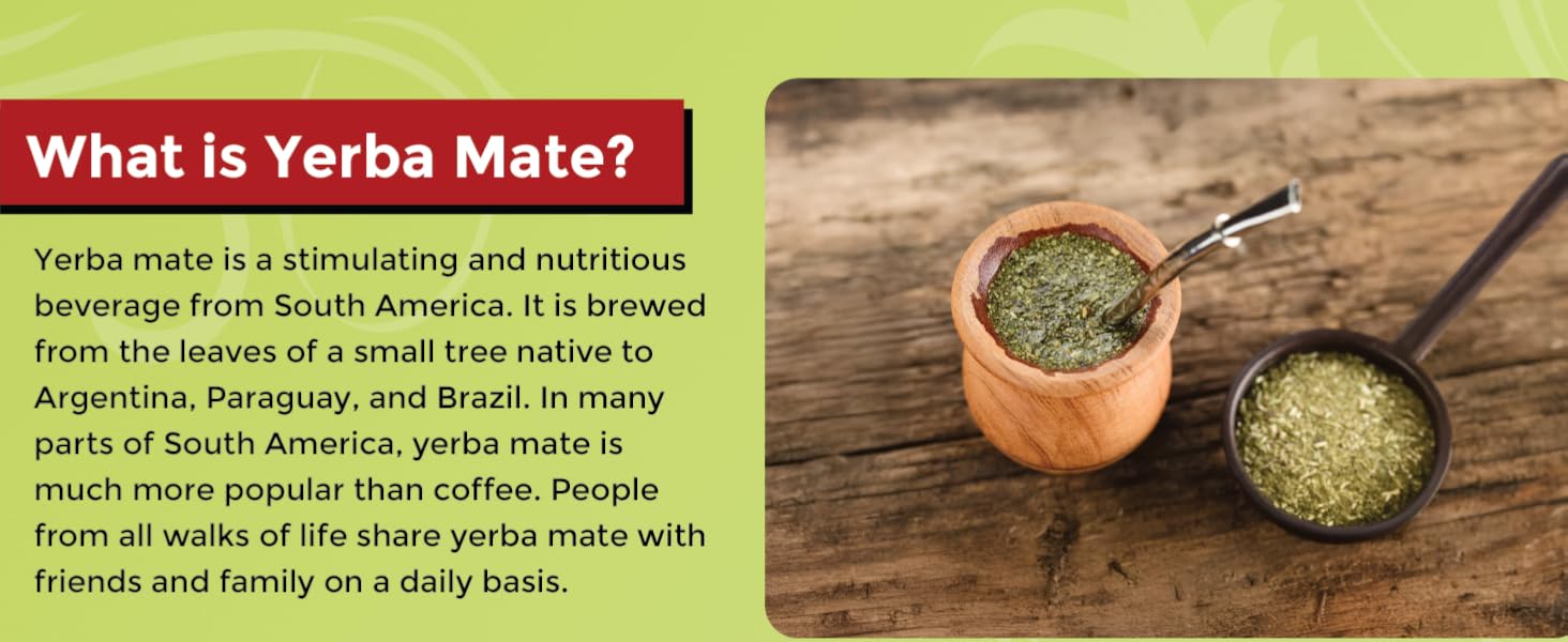 what is yerba mate