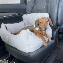 DOG4
