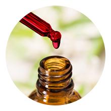 Nature’s Life B12 Drops Methylcobalamin 5000 mcg Healthy Energy Metabolism Mood Support Wild Berry