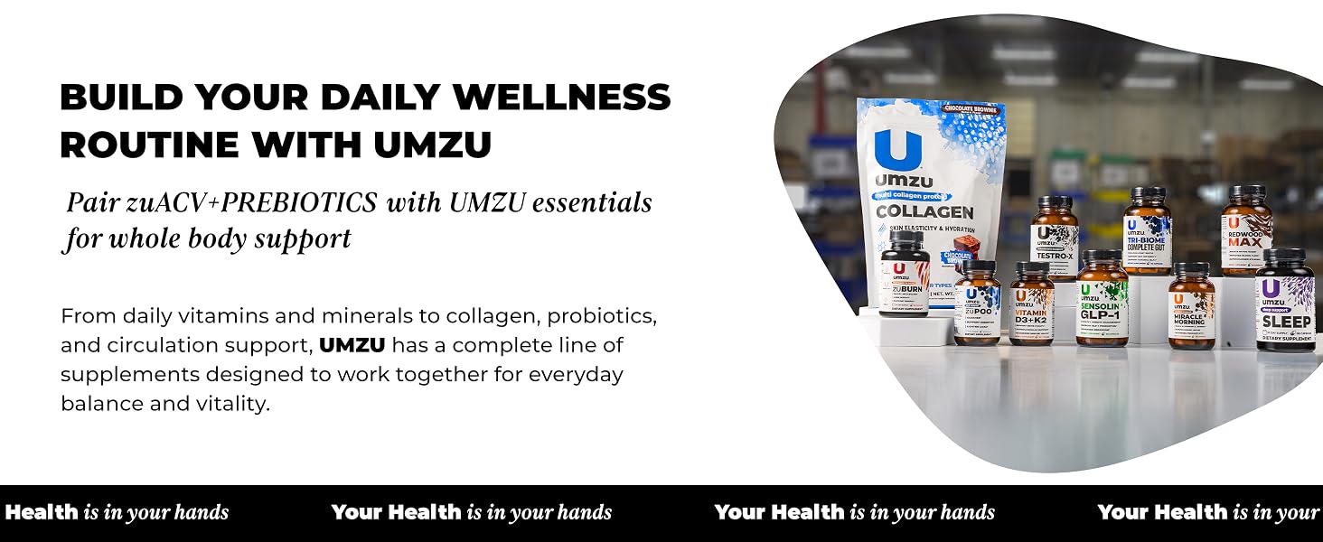 wellness maintenance internal ecosystem performance absorption efficiency nourishment continuum