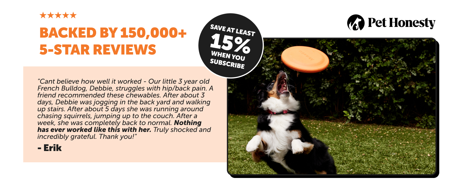 dog hip and joint