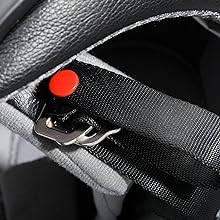 Buckle