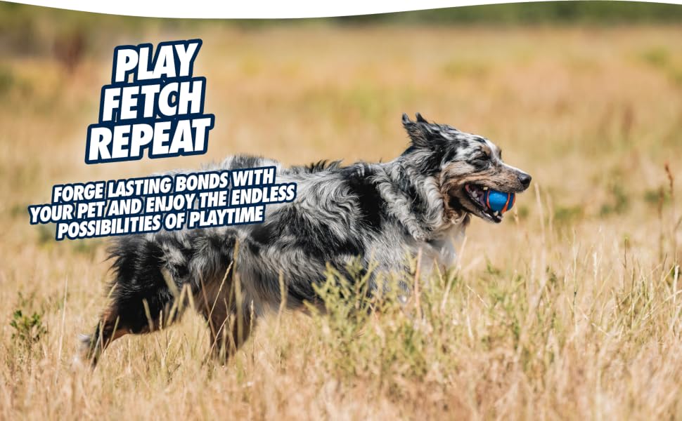Easy to Carry - dog carrying toy