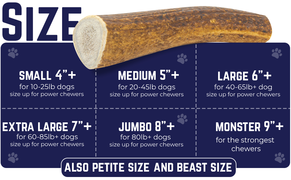 antler dog chew small dentley dog chew elk antler deer antler joint and bone therapy balm