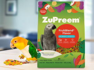 blue parrot cockatiel treats lovebird parakeet seed bird food parakeet macaw food fresh fruits