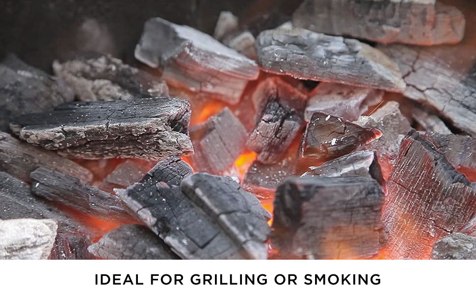 Fire and Flavor lump charcoal