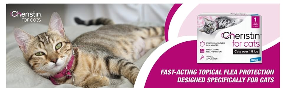 Cat with a pink collar lying on its side. Fast-acting topical flea protection for cats.