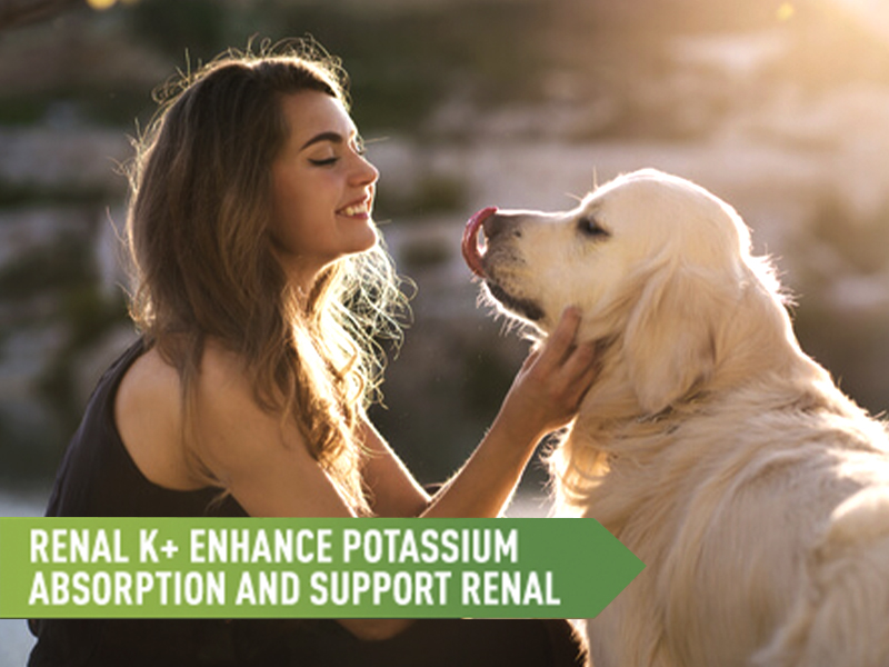 potassium citrate