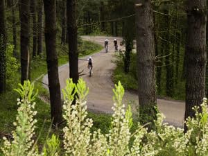 Vittoria terreno endurance on mixed terrain