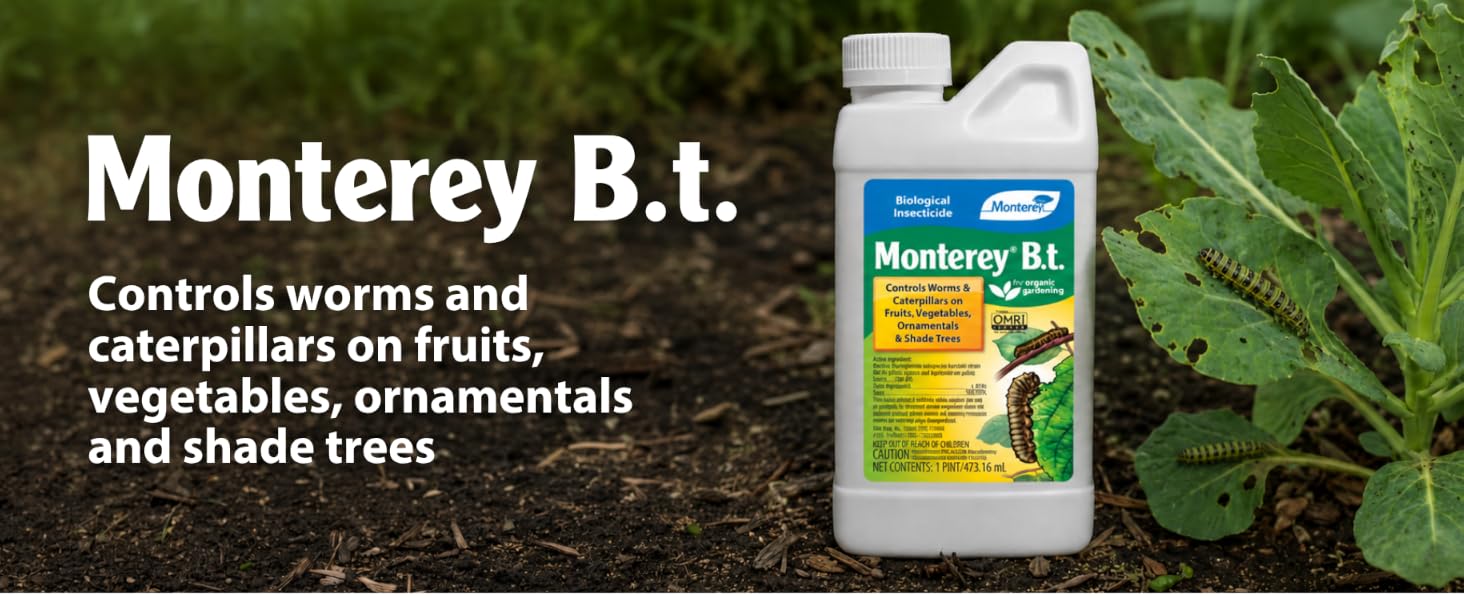 Monterey B.t.