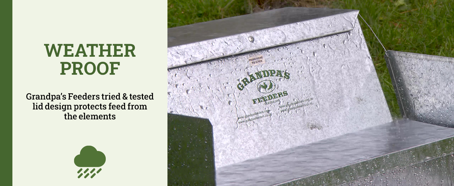 grandpas feeders automatic chicken galvanized steel poultry feeders rat proof no spill weatherproof
