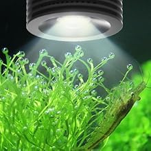 small led aquarium light