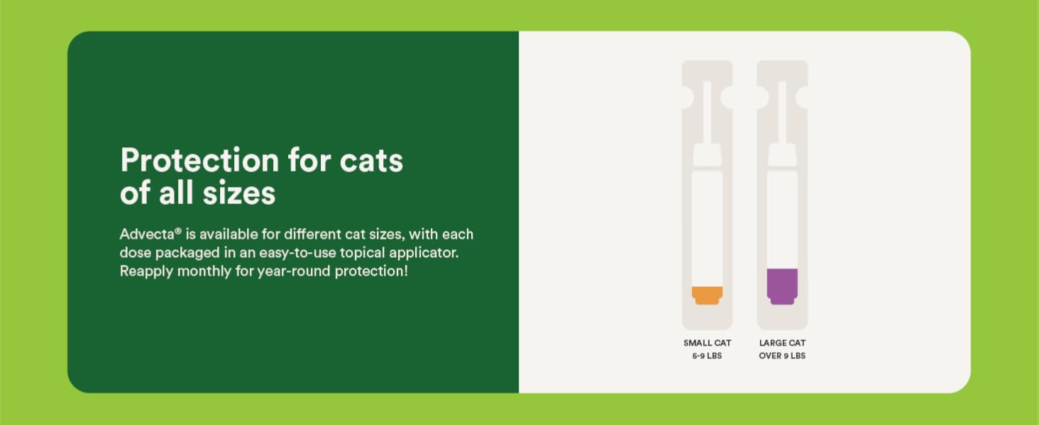 Protection for cats of all sizes small cat large cat