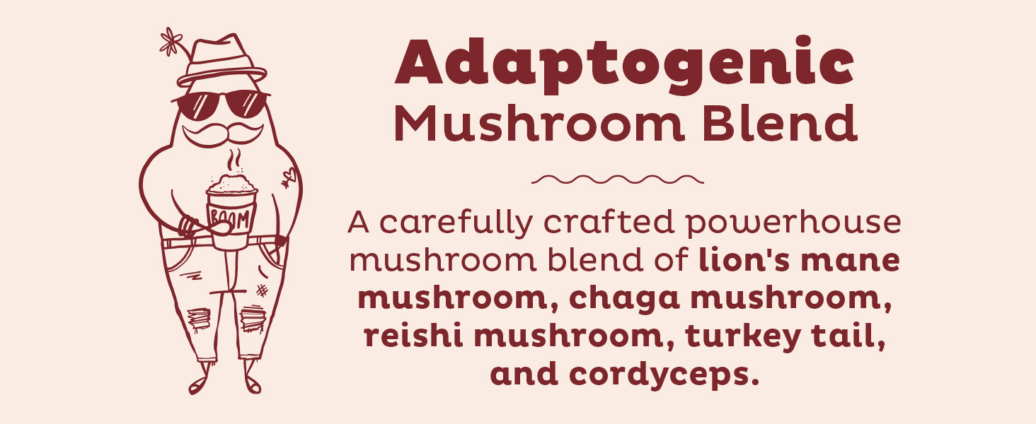 KOS Mushroom Coffee - USDA Certified Organic - Dark Chocolate Mocha Flavor - Mushroom Coffee Latte